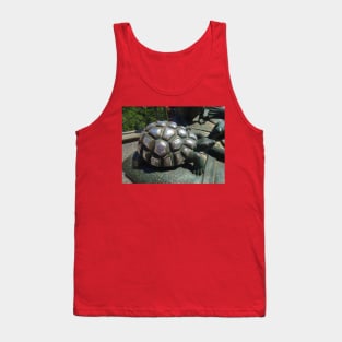 Many hands caressed this turtle Tank Top